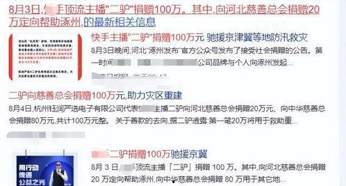 网红二驴的捐款