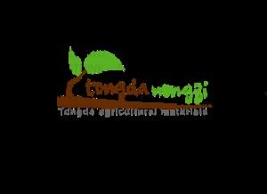 娱乐吃瓜公司有哪些品牌