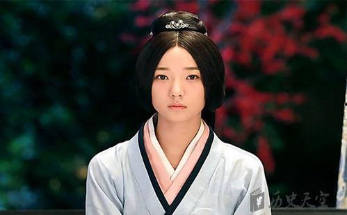 卫子夫历史资料,西汉传奇皇后与她的宫廷岁月